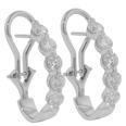 Hoop and Huggie Earrings